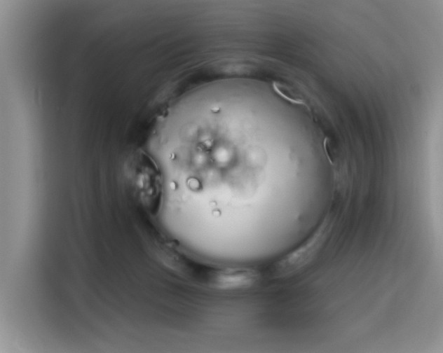 X0000115710175200911191257