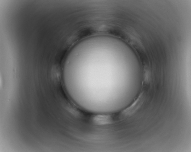 X0000115710179200911191257