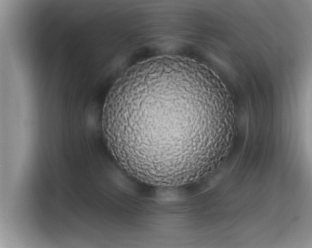 X0000115710181200911191257