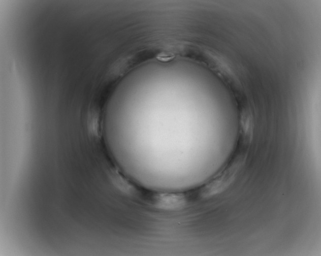 X0000115710185200911191257