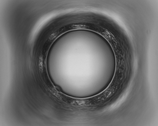 X0000115710194200911191256