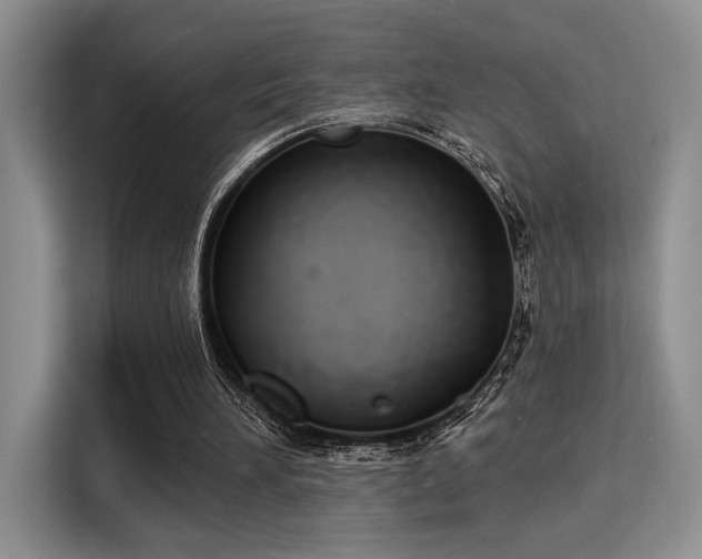 X0000115710196200911191256