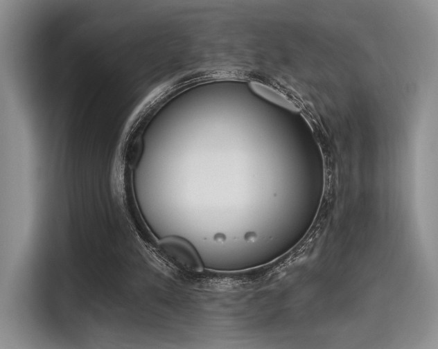 X0000115710197200911191256