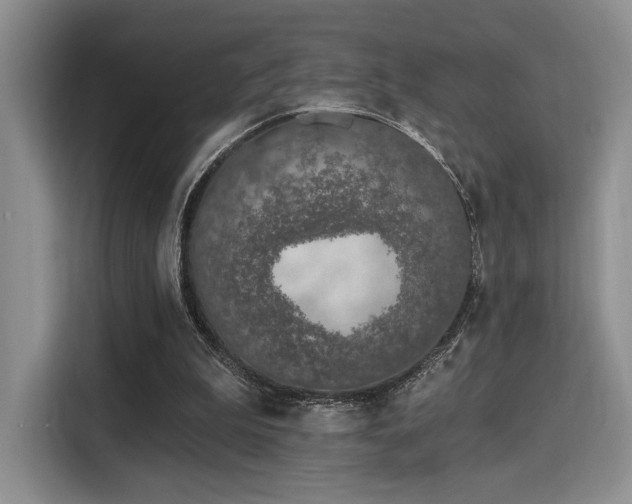 X0000115710199200911191256