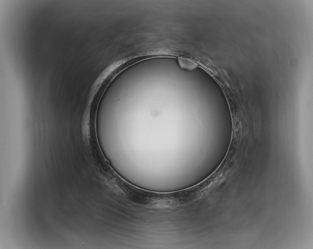 X0000115710200200911191256