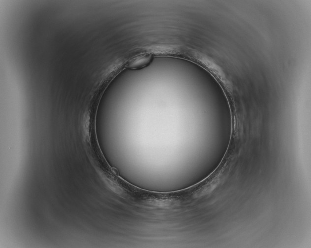 X0000115710201200911191256