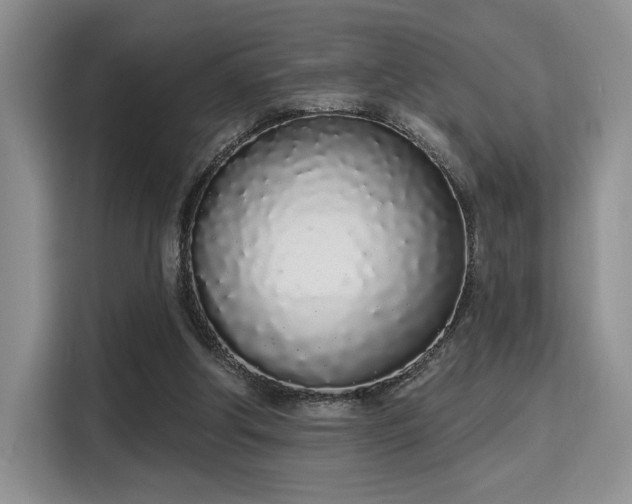 X0000115710202200911191256