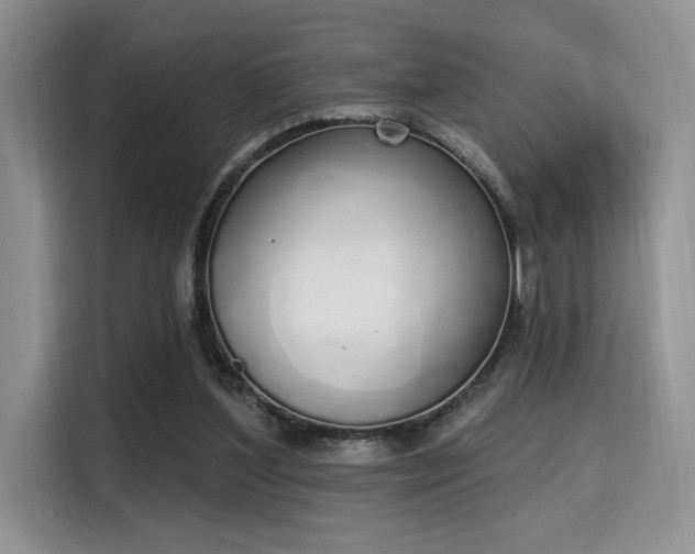 X0000115710204200911191256