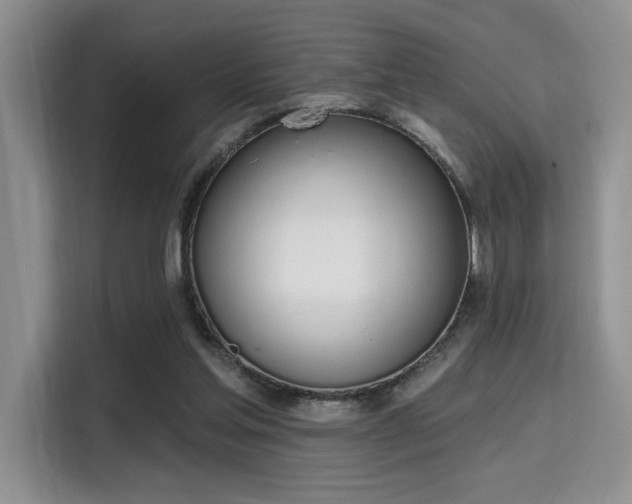 X0000115710205200911191256