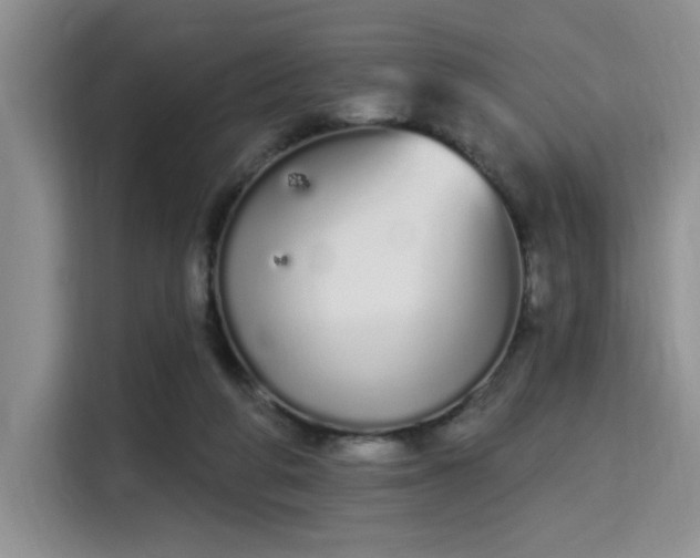 X0000115710210200911191256