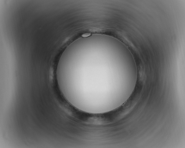 X0000115710211200911191256