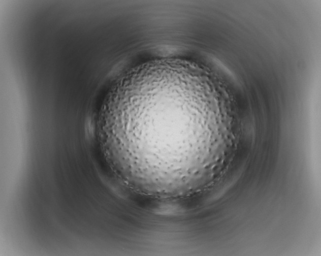 X0000115710214200911191256