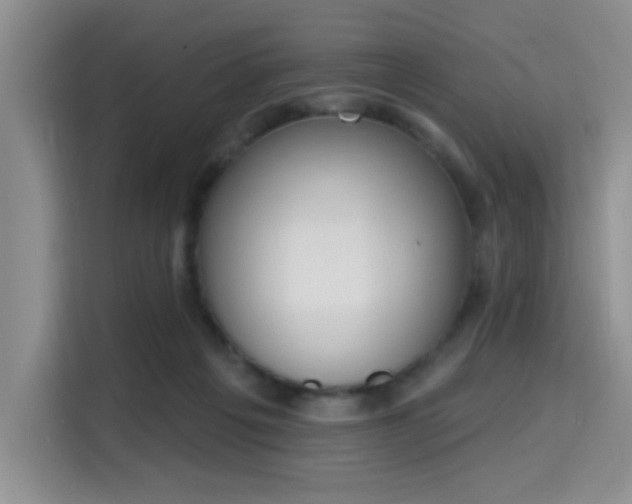 X0000115710217200911191256