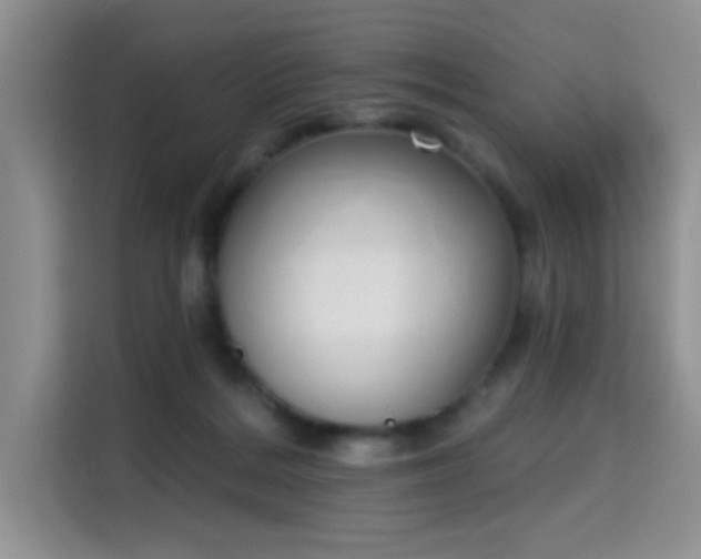 X0000115710220200911191256