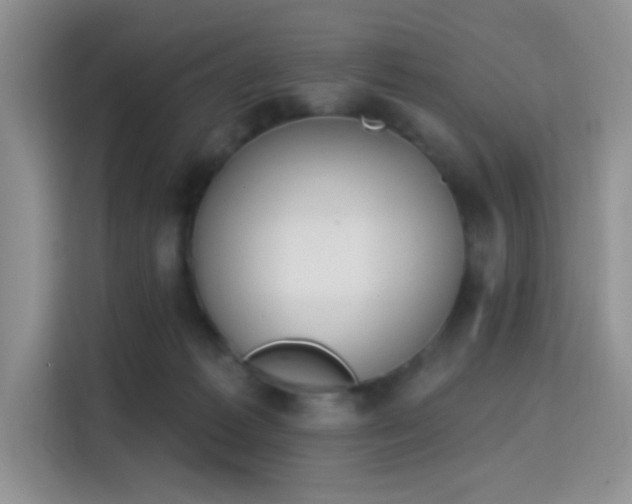 X0000115710221200911191256