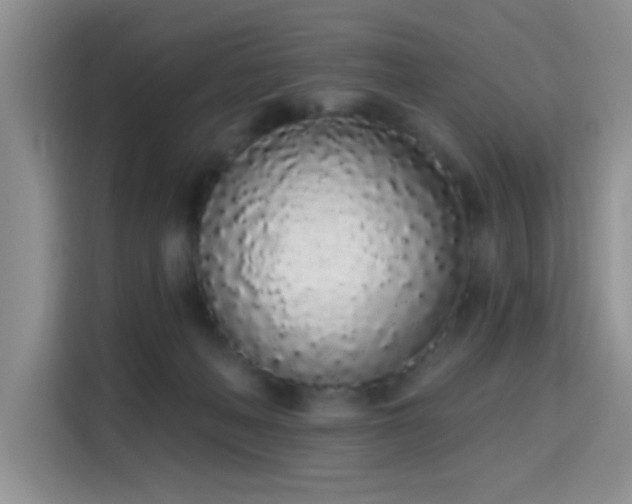 X0000115710222200911191256