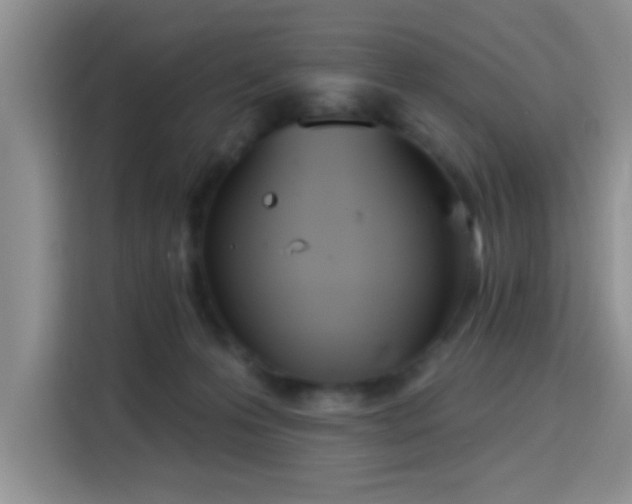 X0000115710223200911191256