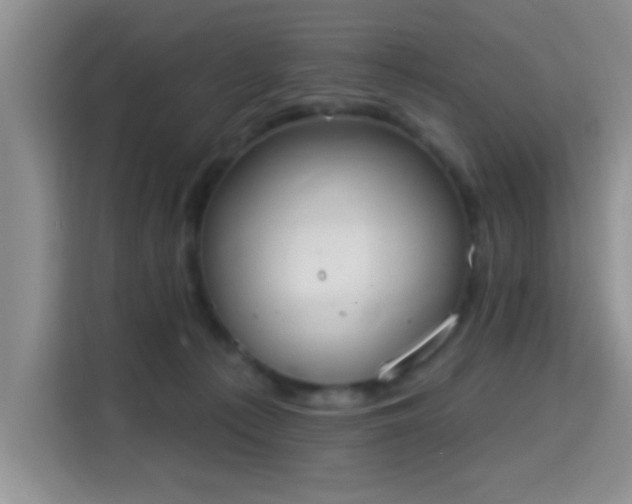 X0000115710225200911191256