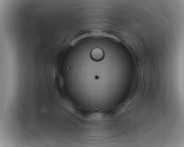 X0000115710227200911191256