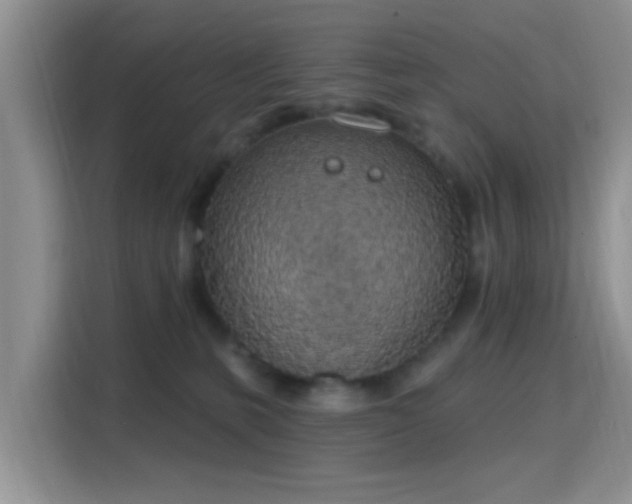 X0000115710231200911191256