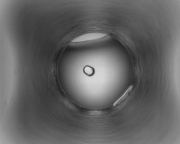 X0000115710233200911191256