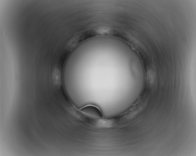 X0000115710234200911191256