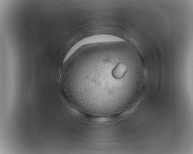 X0000115710237200911191256