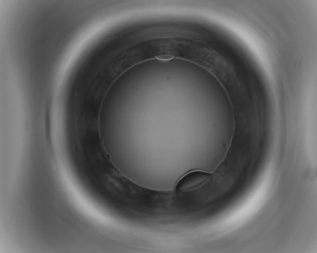 X0000115710239200911191256