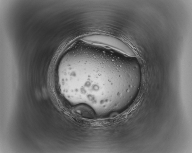 X0000115710241200911191255