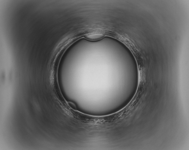 X0000115710243200911191255