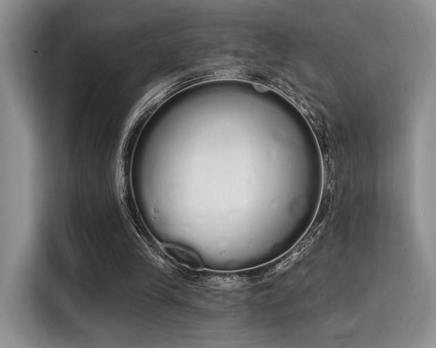 X0000115710245200911191255