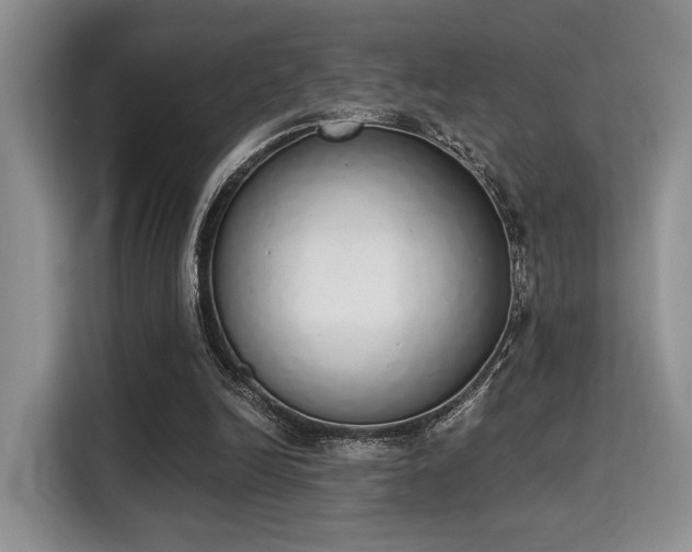 X0000115710246200911191255