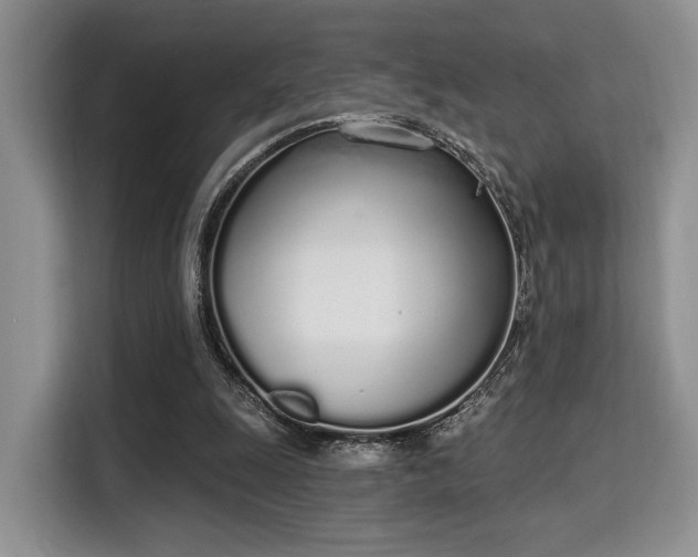 X0000115710247200911191255