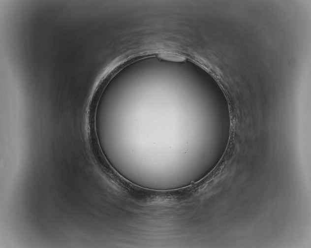 X0000115710248200911191255