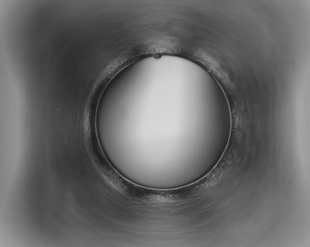 X0000115710250200911191255