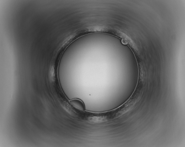 X0000115710251200911191255