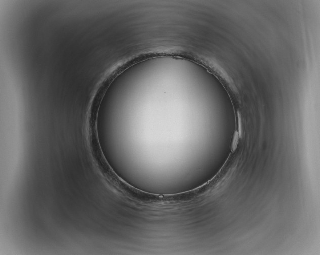 X0000115710252200911191255