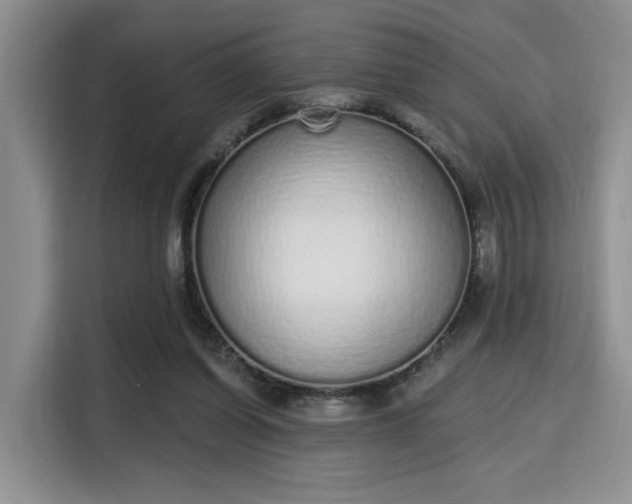 X0000115710254200911191255