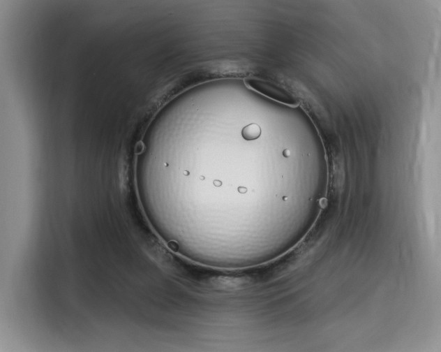 X0000115710255200911191255