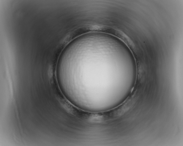 X0000115710257200911191255