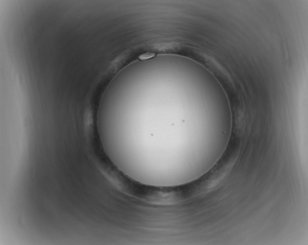 X0000115710260200911191255