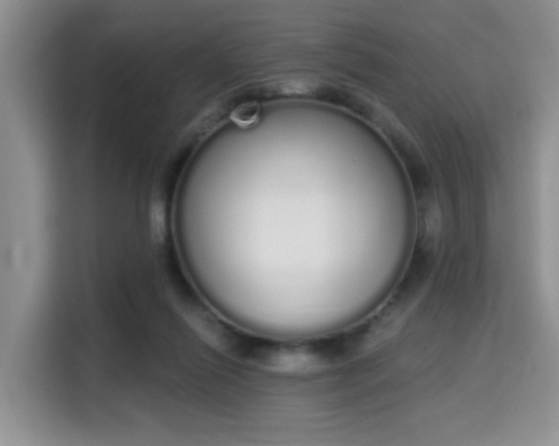 X0000115710262200911191255