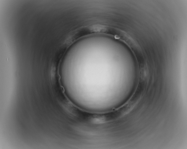 X0000115710263200911191255