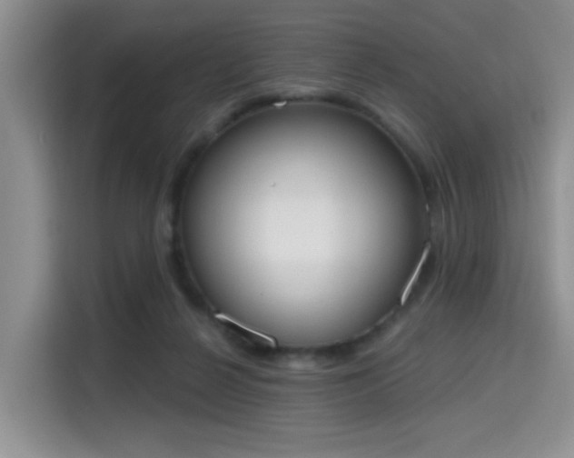 X0000115710264200911191255