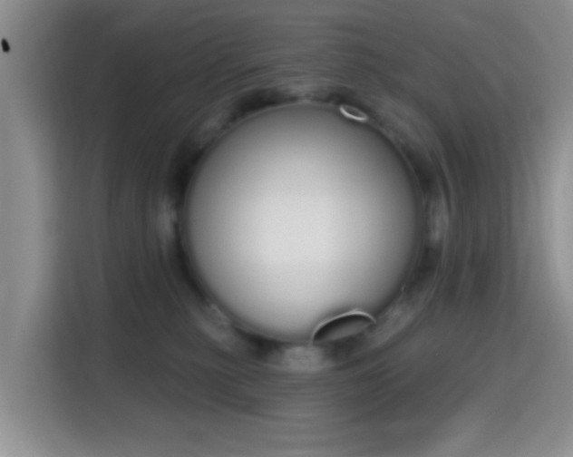 X0000115710279200911191256