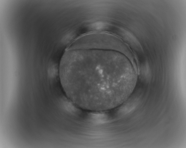 X0000115710284200911191256