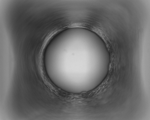 X0000115710289200911191255