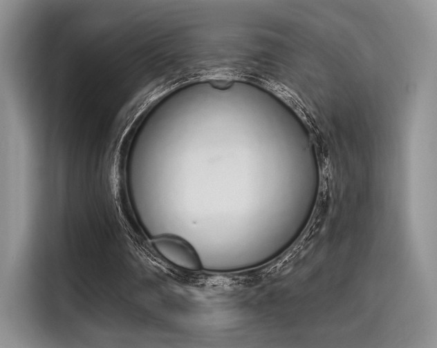 X0000115710290200911191255