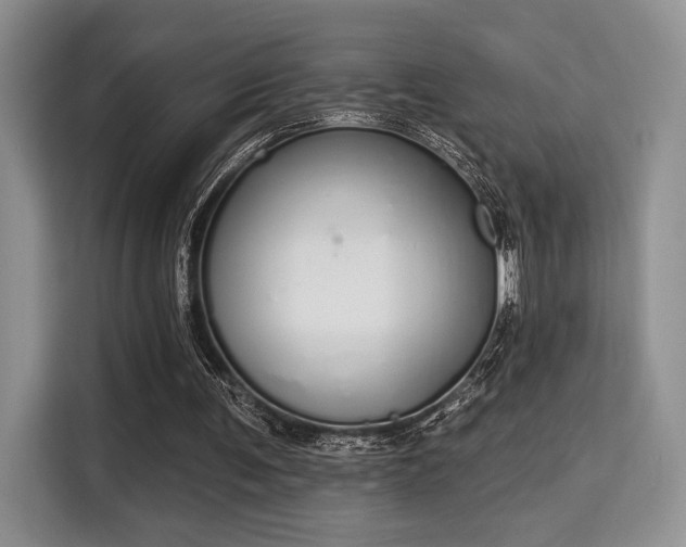 X0000115710291200911191255