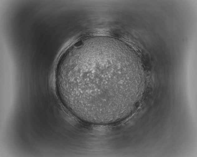 X0000115710293200911191255